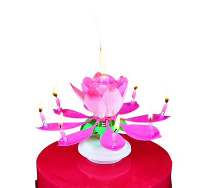 Glasbena sveča, roza barva