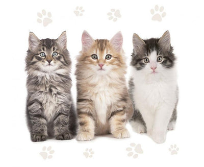 Papirnate serviete - trije mucki, 30 kom