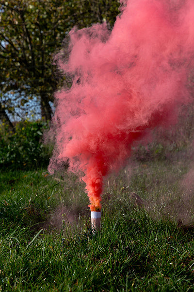 Dimna fontana – roza